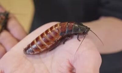 WhatsApp Image 2024-03-09 at 18.48.54 WhatsApp Image 2024-03-09 at 18.48.54