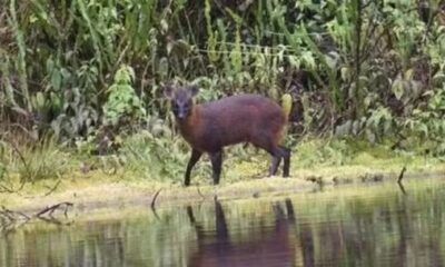 WhatsApp Image 2024-03-10 at 11.19.17