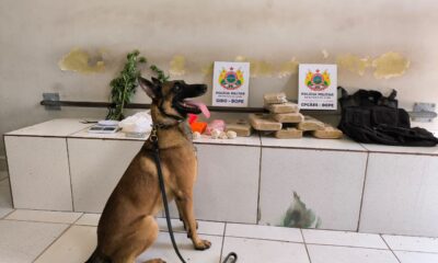 WhatsApp Image 2024-03-18 at 18.55.52 (1) WhatsApp Image 2024-03-18 at 18.55.52 (1)