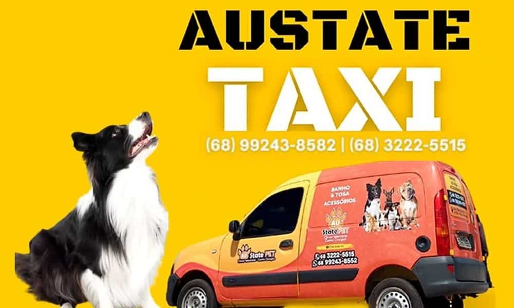 WhatsApp Image 2024-03-19 at 16.41.49 WhatsApp Image 2024-03-19 at 16.41.49