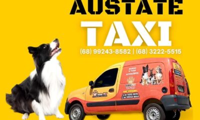 WhatsApp Image 2024-03-19 at 16.41.49 WhatsApp Image 2024-03-19 at 16.41.49