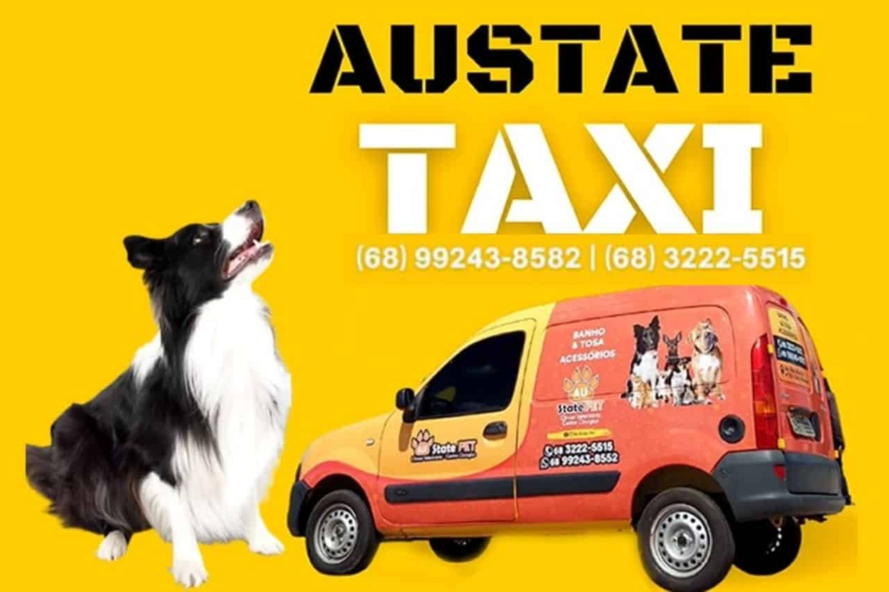 Táxi Dog – Austate Pet: Conforto e Segurança para o seu Pet
