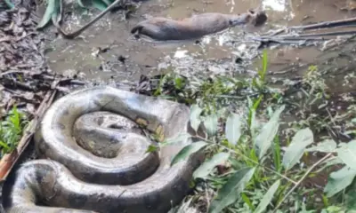 WhatsApp-Image-2024-03-20-at-18.48.11-1000×600 WhatsApp-Image-2024-03-20-at-18.48.11-1000x600