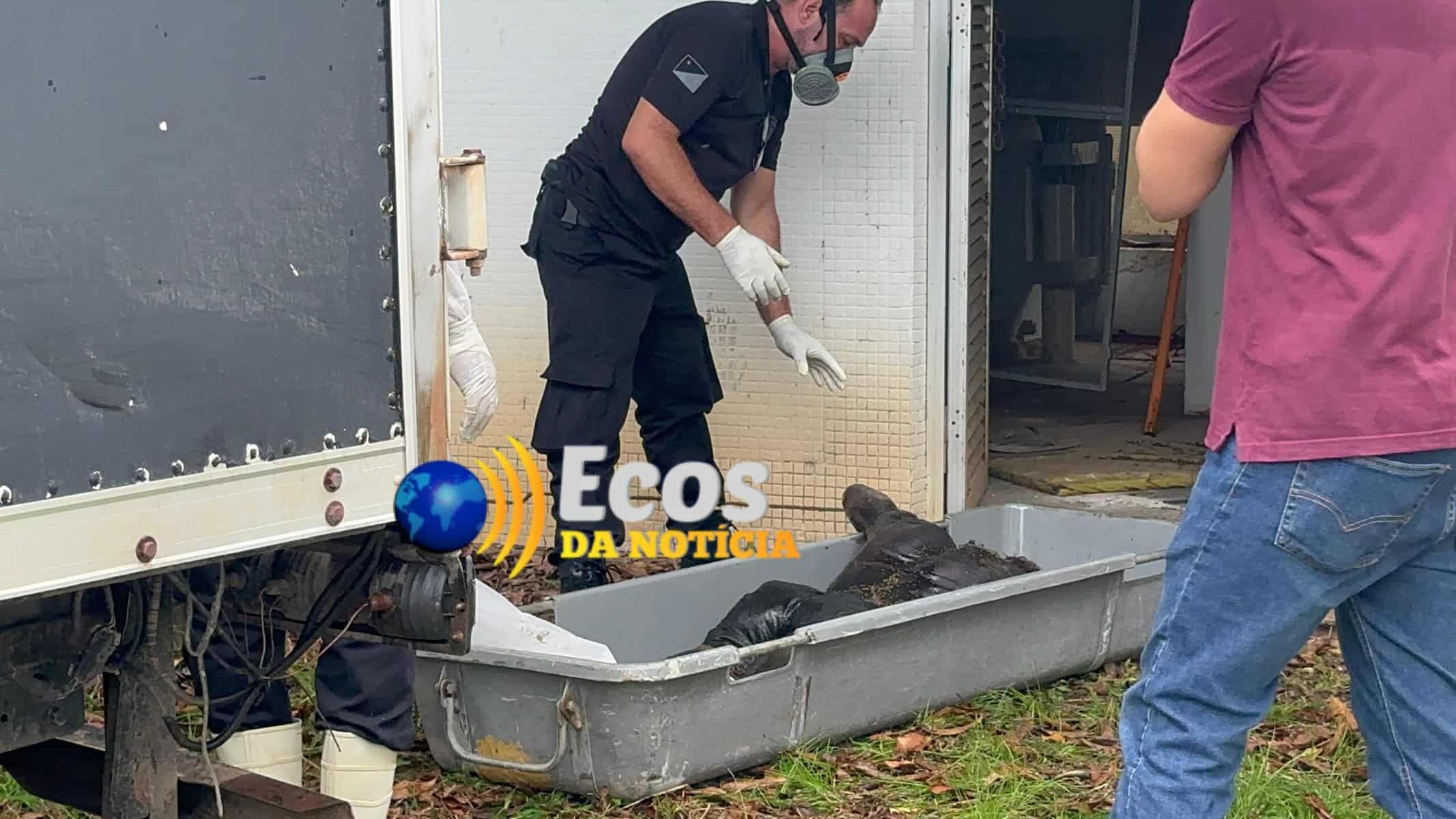 Morador em situação de rua recebe descarga elétrica e morre ao tentar furtar fiação na capital