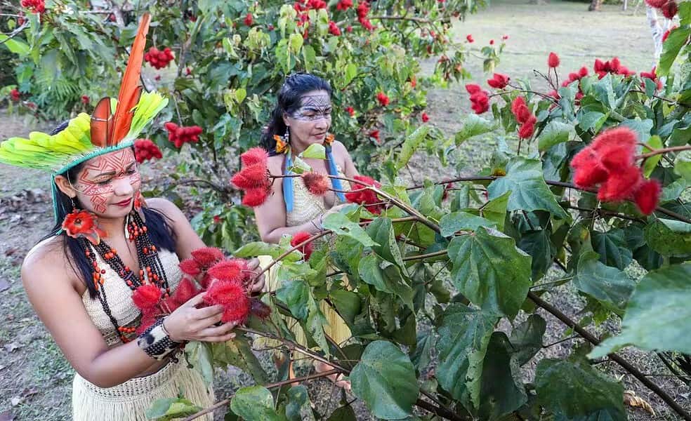 WhatsApp Image 2024-03-27 at 18.59.05 Terra Indígena Nukini é uma das que têm áreas sensíveis sendo pesquisadas para exploração de minério, segundo o MPF — Foto: Marcos Vicentti/Secom