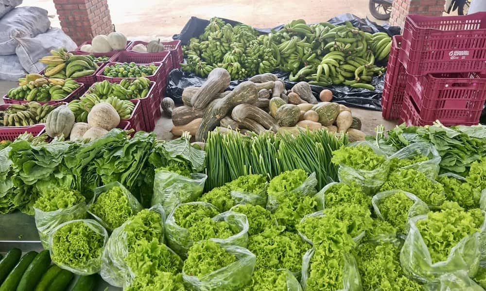 b0d641fc-6215-4be5-8aa4-c02077e937b6 b0d641fc-6215-4be5-8aa4-c02077e937b6