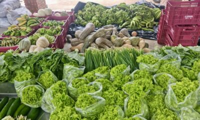 b0d641fc-6215-4be5-8aa4-c02077e937b6