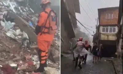 cao_91588f cao_91588f