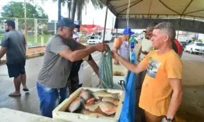 capture-20240327-112107-jpg