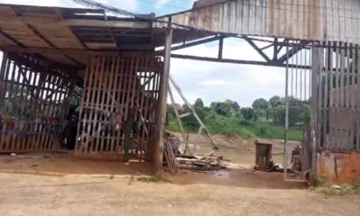 cedeu–1000×600 cedeu--1000x600