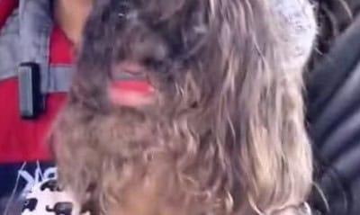 chrome_qcmcntReDu Imagem: Reprodução