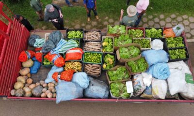 d602f521-52f0-420b-81cd-e398006f52f5-1536×864 d602f521-52f0-420b-81cd-e398006f52f5-1536x864