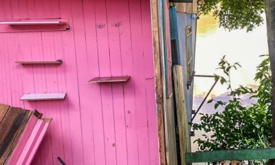 defesa civil defesa civil