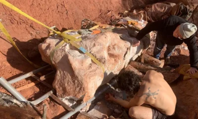 dinossauro dinossauro