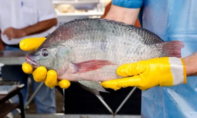 divulgacao_pmsjp-rdj_2348