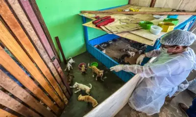 image0-12-1-1536×864-1-1000×600 Foto: Whidy Melo/ac24horas