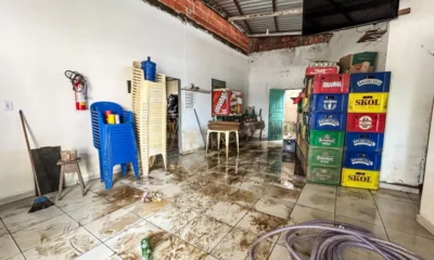 image0-17-1000×600 image0-17-1000x600