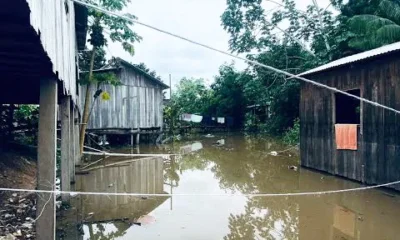 image0-5-jpeg image0-5-jpeg