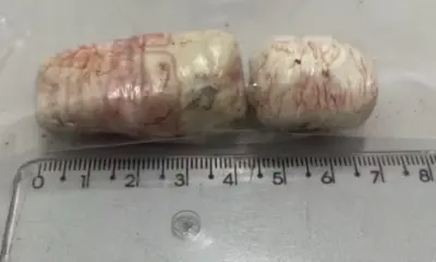 maconha-operada-1-600×400 maconha-operada-1-600x400