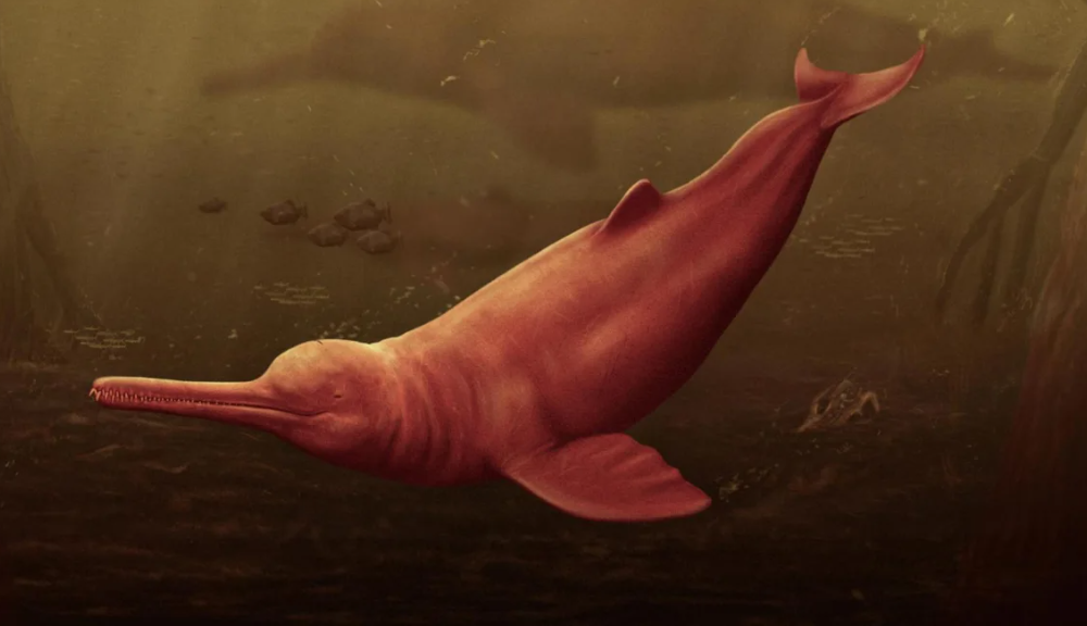 reconstrucao-artistica-retrata-a-yacuruna-pebanista Uma reconstrução artística retrata a yacuruna pebanista nas águas turvas da proto-Amazônia peruana
Jaime Bran