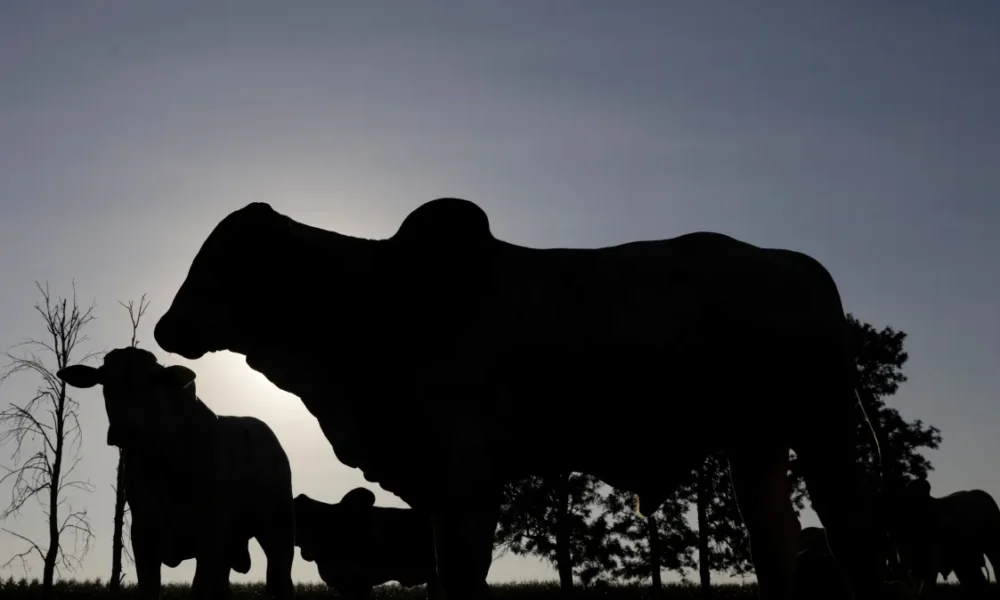 tagreuters.com2024binary_LYNXMPEK170TN-FILEDIMAGE tagreuters.com2024binary_LYNXMPEK170TN-FILEDIMAGE