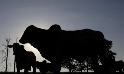 tagreuters.com2024binary_LYNXMPEK170TN-FILEDIMAGE tagreuters.com2024binary_LYNXMPEK170TN-FILEDIMAGE