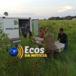 07083ca3 62dd 49a1 ac5b 1686f90ee2df