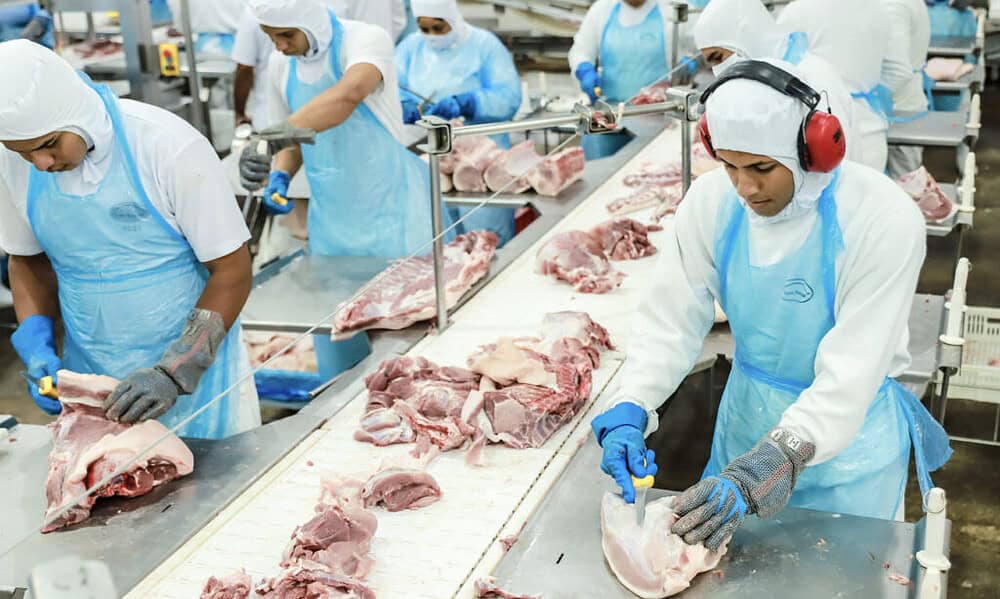 1 1678306304566 1024x683 1