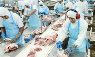 1 1678306304566 1024x683 1