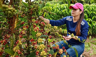 1000364974 1024×660 1000364974 1024x660