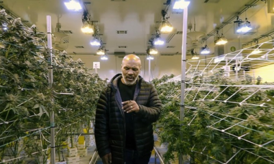 19672 ace44cc79bd2069f