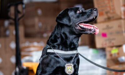 424e2ae7-b071-4bb0-9794-c82b62735bfe-750×510 424e2ae7-b071-4bb0-9794-c82b62735bfe-750x510