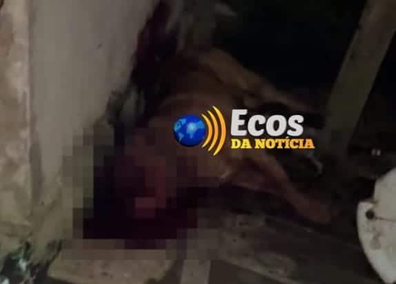 9729c5d6 5de1 4ad2 b816 17c17735c671