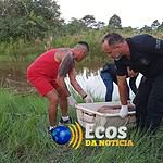 9f315cdb 2913 4796 82a3 f46dd3191142