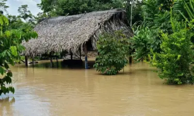 (Foto: Sandro Falcão/SOS Amazônia)