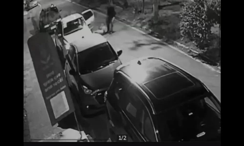 Captura-de-tela-2024-04-03-175937