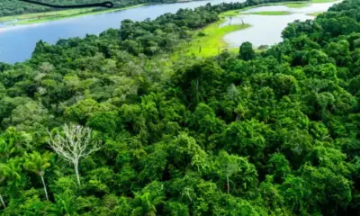 Frame-240-2024-04-11T090923.812-976x600