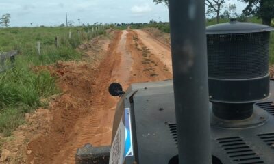 Ramais-da-Dignidade-11-e1712196995372 Ramais-da-Dignidade-11-e1712196995372