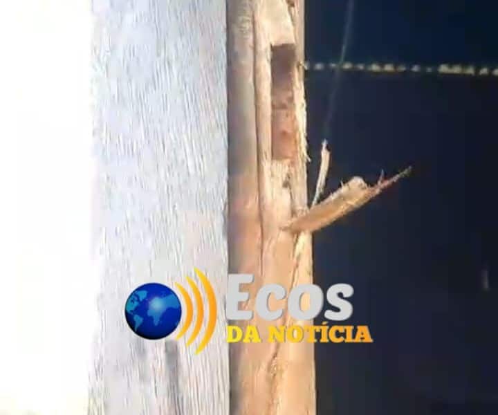 WhatsApp Image 2024-04-10 at 17.11.31 WhatsApp Image 2024-04-10 at 17.11.31