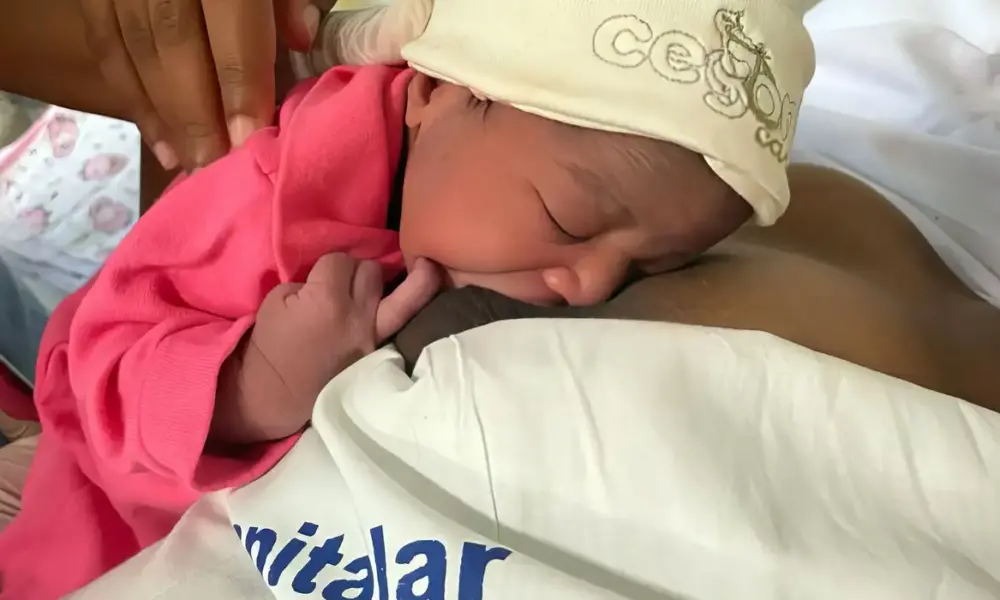 alta_pequena_elysa_-_pedro_ii1_jv alta_pequena_elysa_-_pedro_ii1_jv