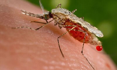 b6ddb1640e40bdd68db56d48e7164c4813c0819bad11420b1fe7db253f4a5ce3 b6ddb1640e40bdd68db56d48e7164c4813c0819bad11420b1fe7db253f4a5ce3