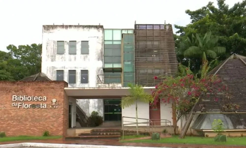 biblioteca da floresta abandono 1000x600 (1)