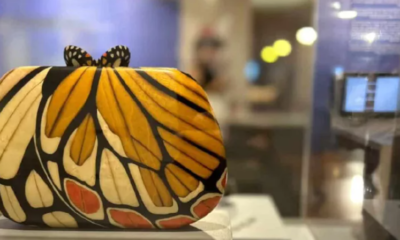 bolsa machetaria bolsa machetaria