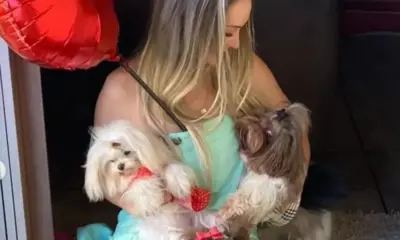 caes 996×600 caes 996x600