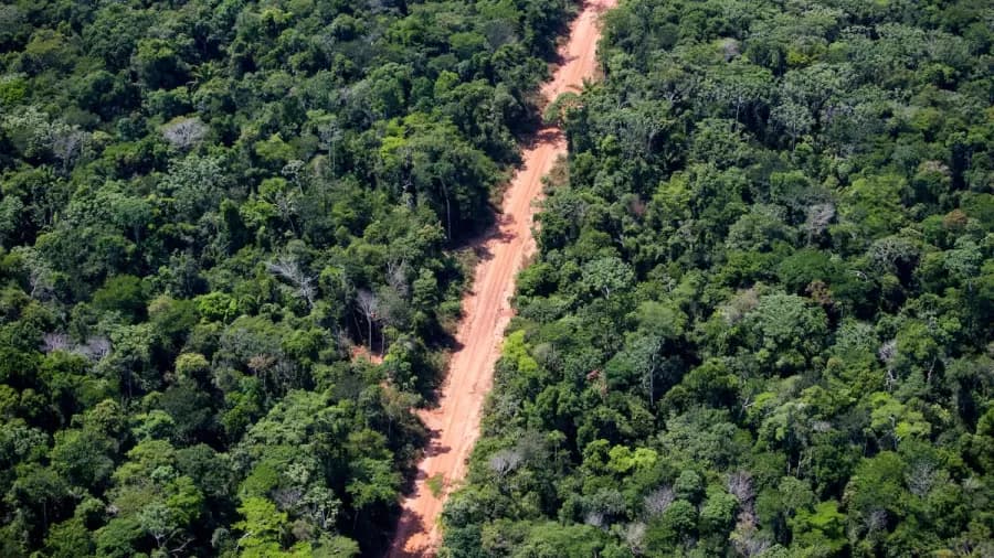desmatamento de floresta amazonica 1714067030610 v2 900x506.png