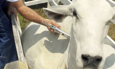 e253ca10 4714 40ed 915f f717b05e406c