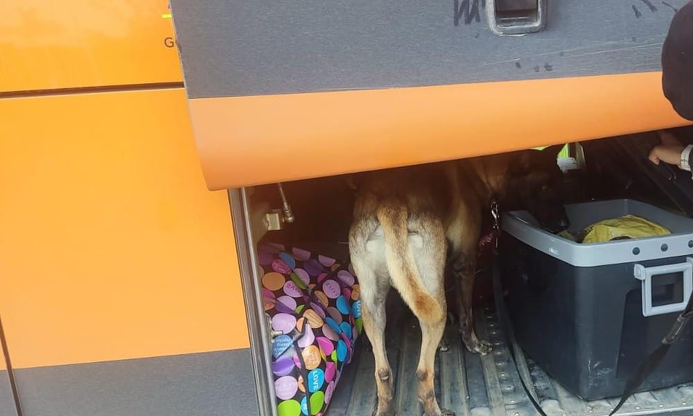 f165d7db f143 42a6 9afc 827ec260c0b2 f165d7db f143 42a6 9afc 827ec260c0b2