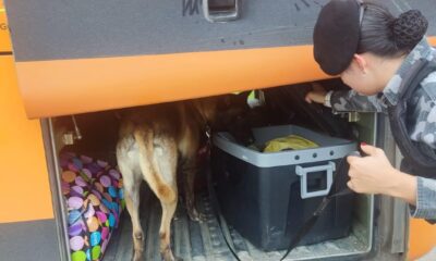 f165d7db f143 42a6 9afc 827ec260c0b2 f165d7db f143 42a6 9afc 827ec260c0b2