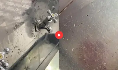 frame 240 2024 04 12t093338.621 976x600