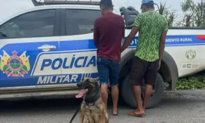 frame 240 2024 04 13t090547.809 976x600